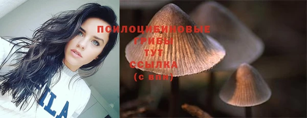 меф Белокуриха