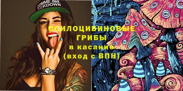 меф Белокуриха