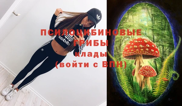 мяу мяу мука Беломорск