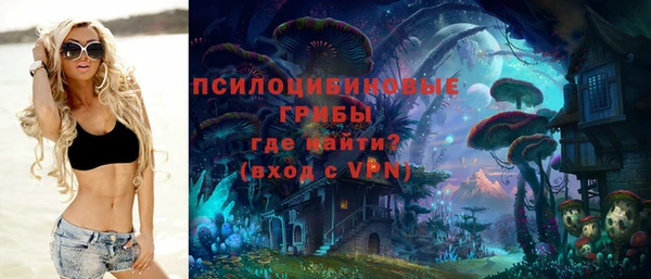мяу мяу мука Беломорск