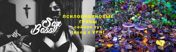 мяу мяу мука Беломорск